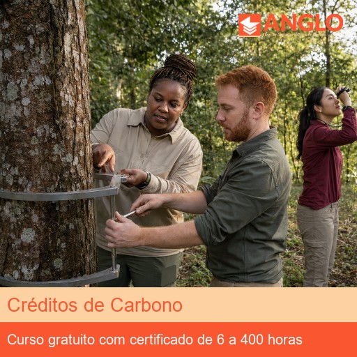 Créditos de Carbono
